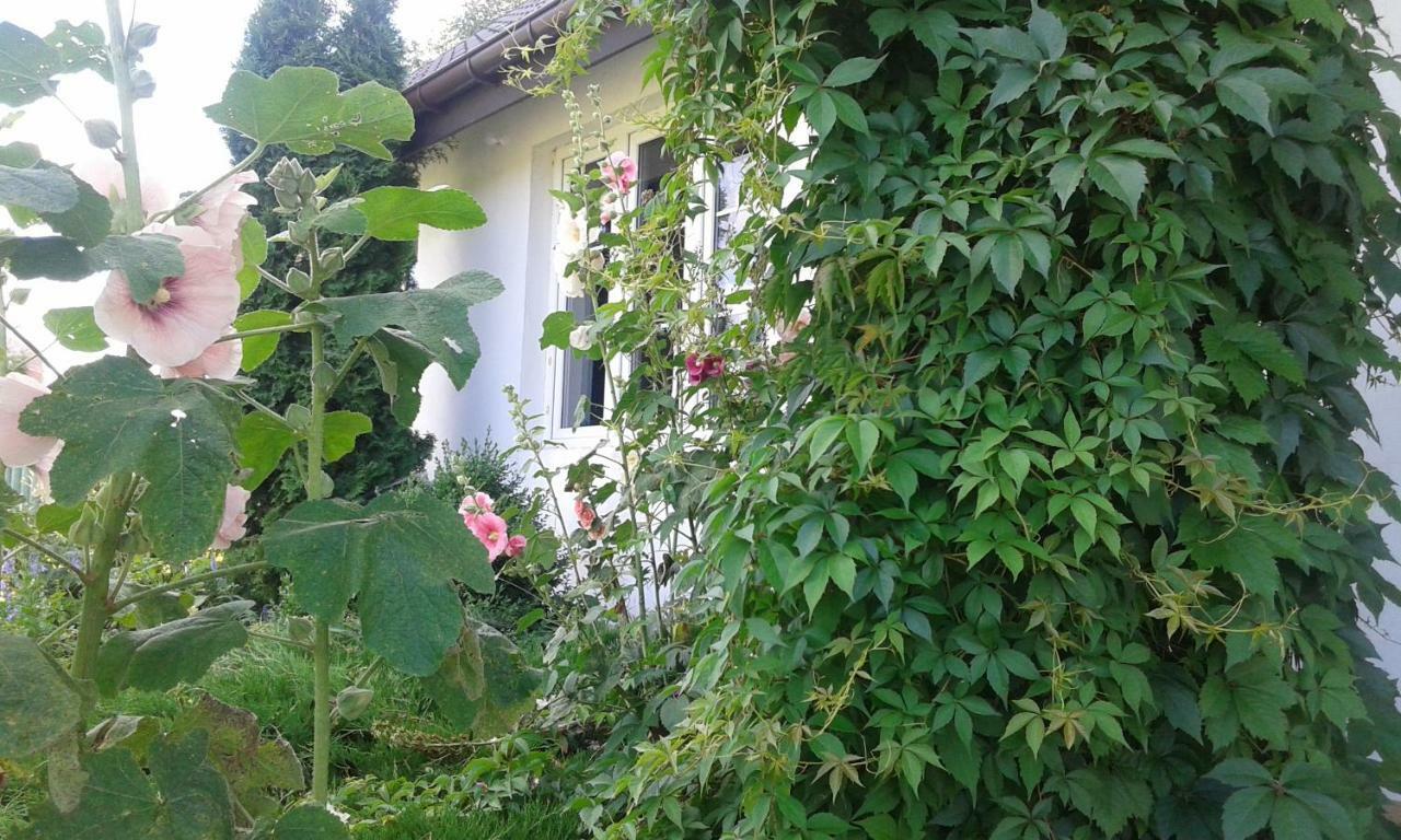 Maison d'hôtes Bizon à Sadowne Extérieur photo